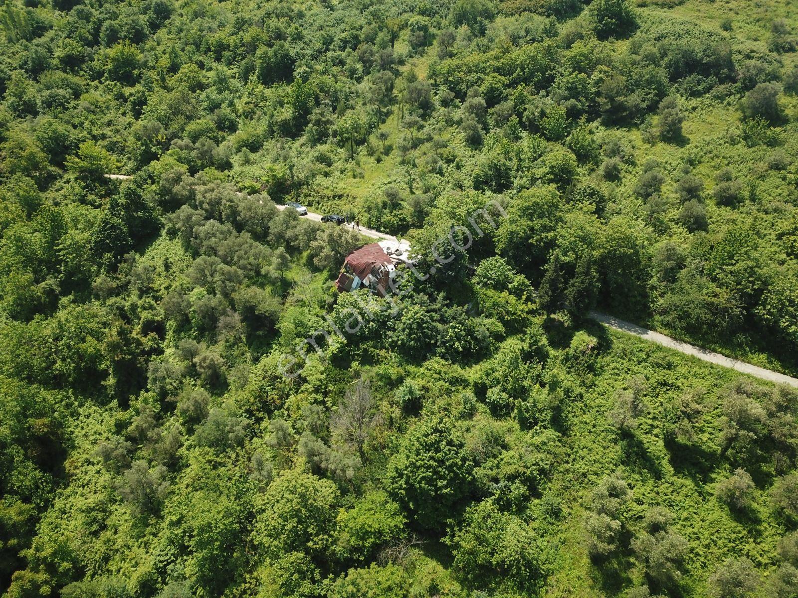 Yol+su+elektrik (yapı Kayıt Belgeli 1500m2 Bağ) - Görsel 8