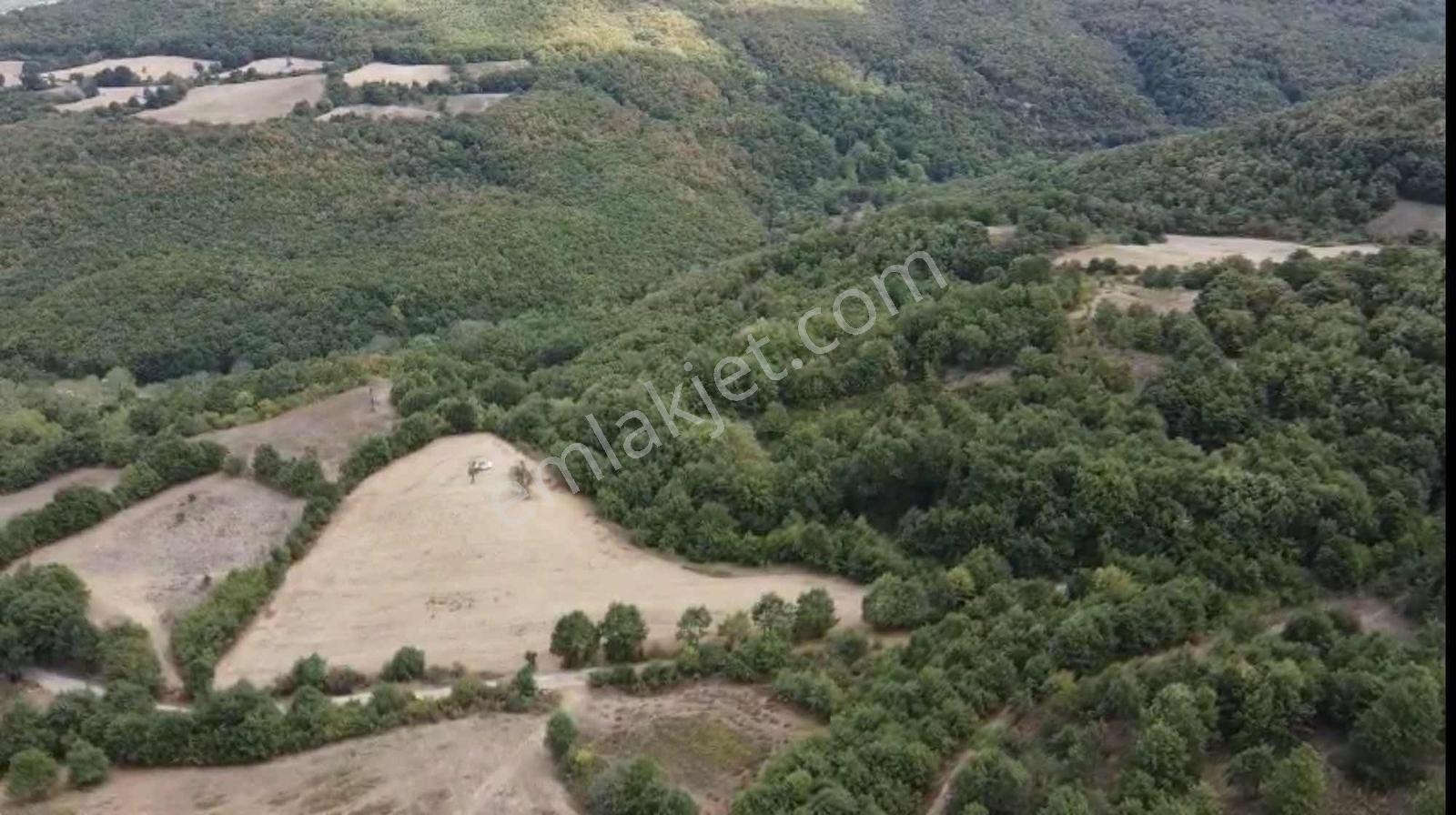 Öztarlacıdan Akarca Resmı Yola Cephe 12500 M2 - Görsel 11