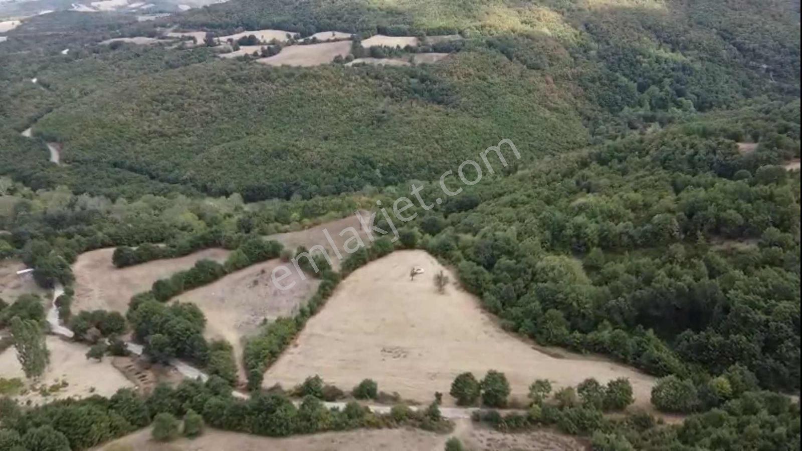 Öztarlacıdan Akarca Resmı Yola Cephe 12500 M2 - Görsel 15