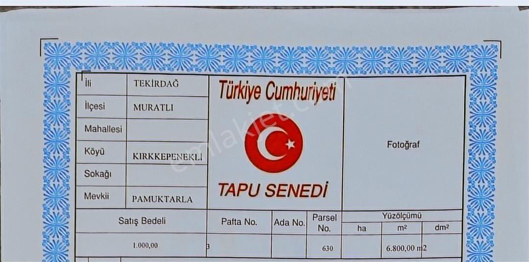 Tekirdağ Muratlının Yükselen Değeri Kırkkepeneklide Fırsat! - Görsel 6