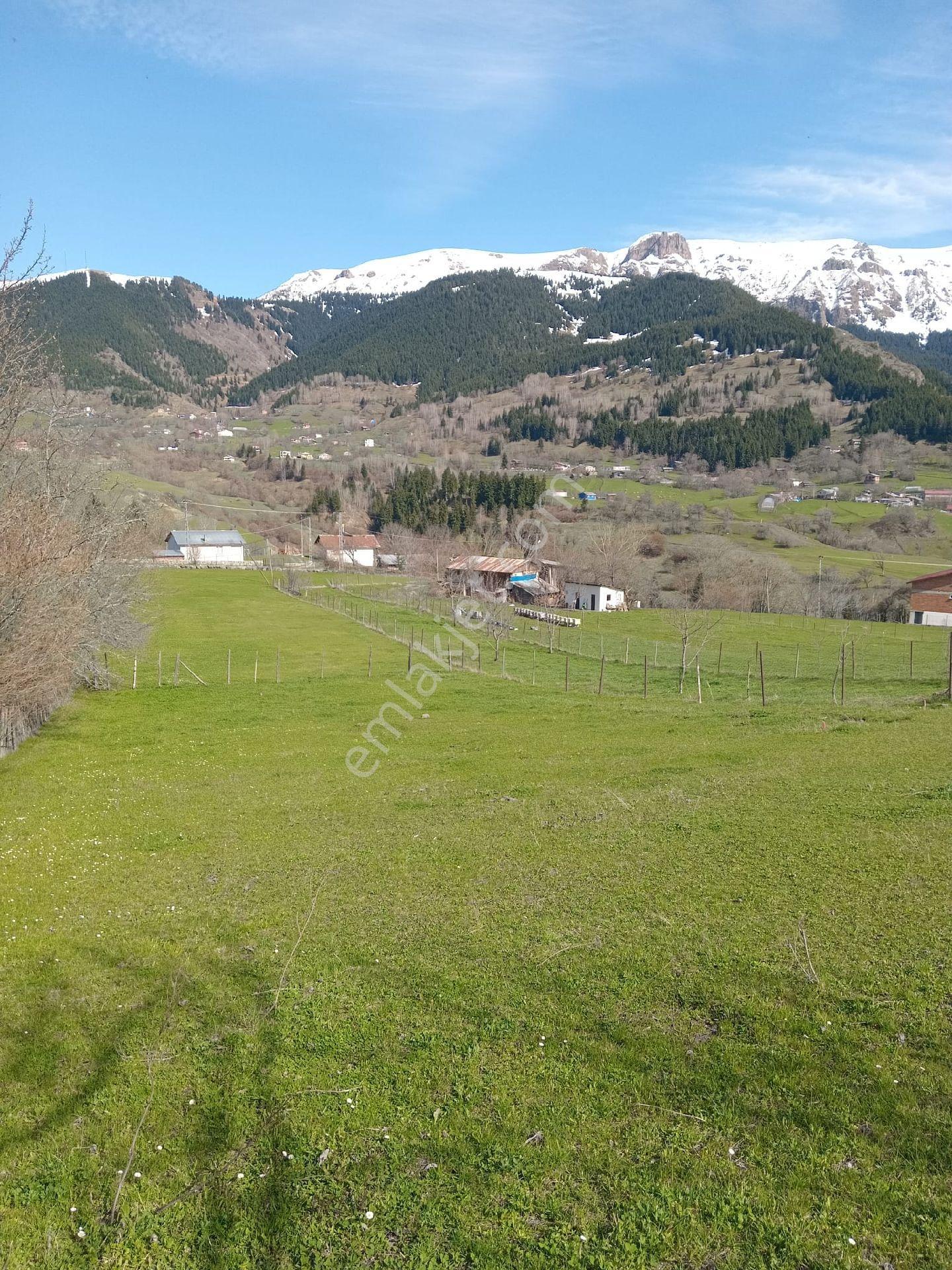 Cennetten Bir Köşe Olan Artvin- Şavşat- Yavuzköy'de Sahibinden Satılık Gerçek İmarlı Arsa - Görsel 6