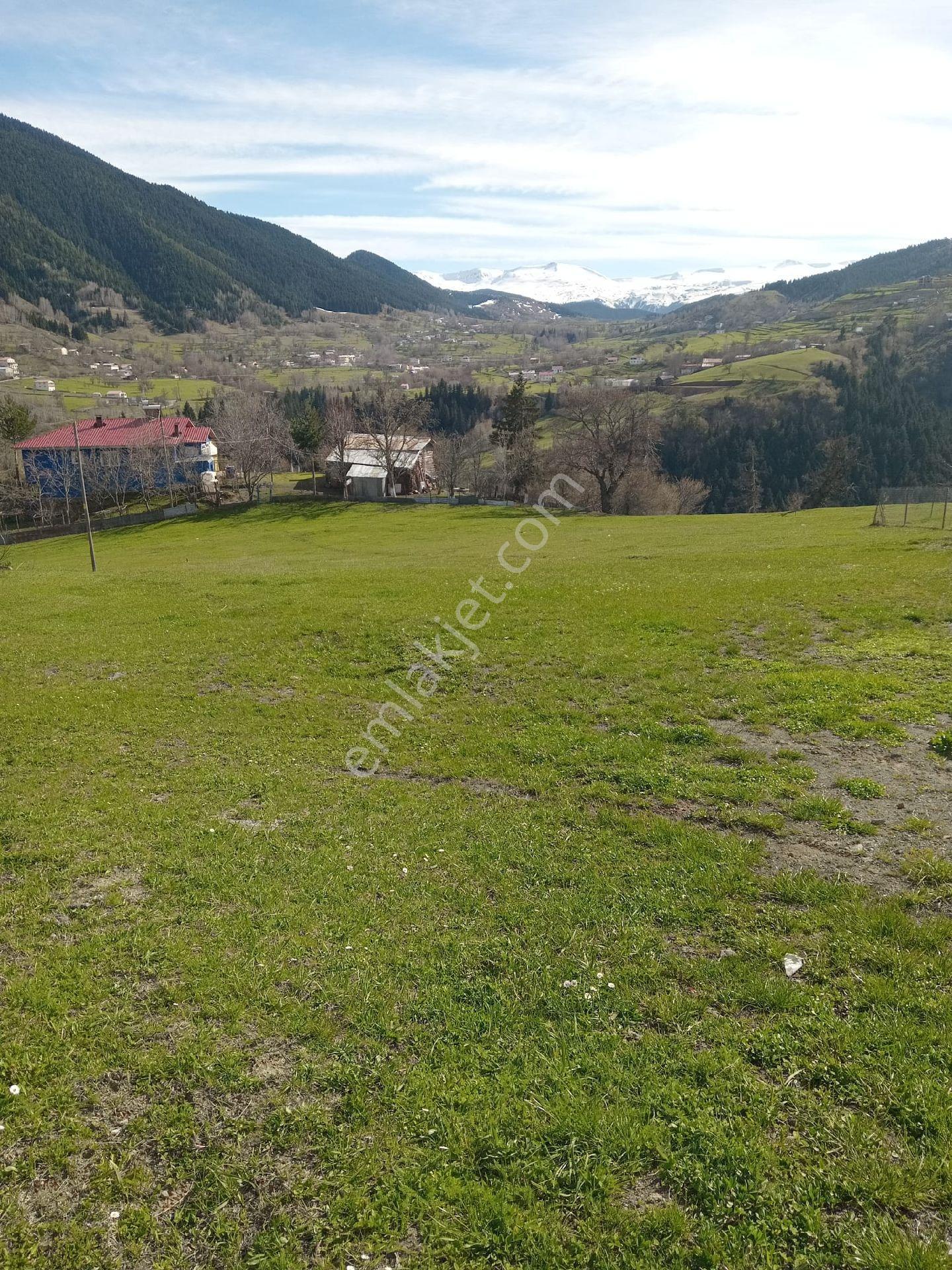 Cennetten Bir Köşe Olan Artvin- Şavşat- Yavuzköy'de Sahibinden Satılık Gerçek İmarlı Arsa - Görsel 20
