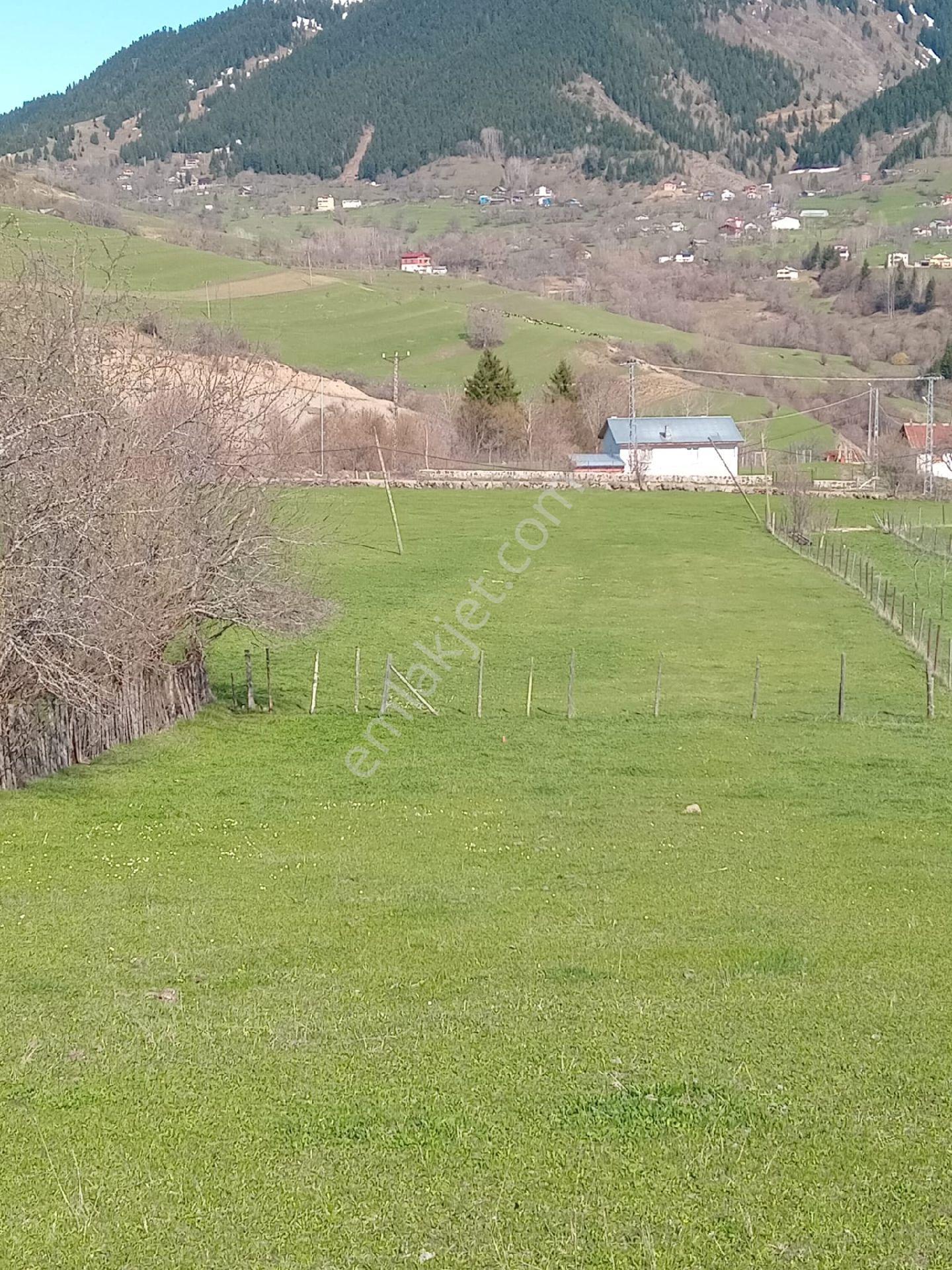 Cennetten Bir Köşe Olan Artvin- Şavşat- Yavuzköy'de Sahibinden Satılık Gerçek İmarlı Arsa - Görsel 11