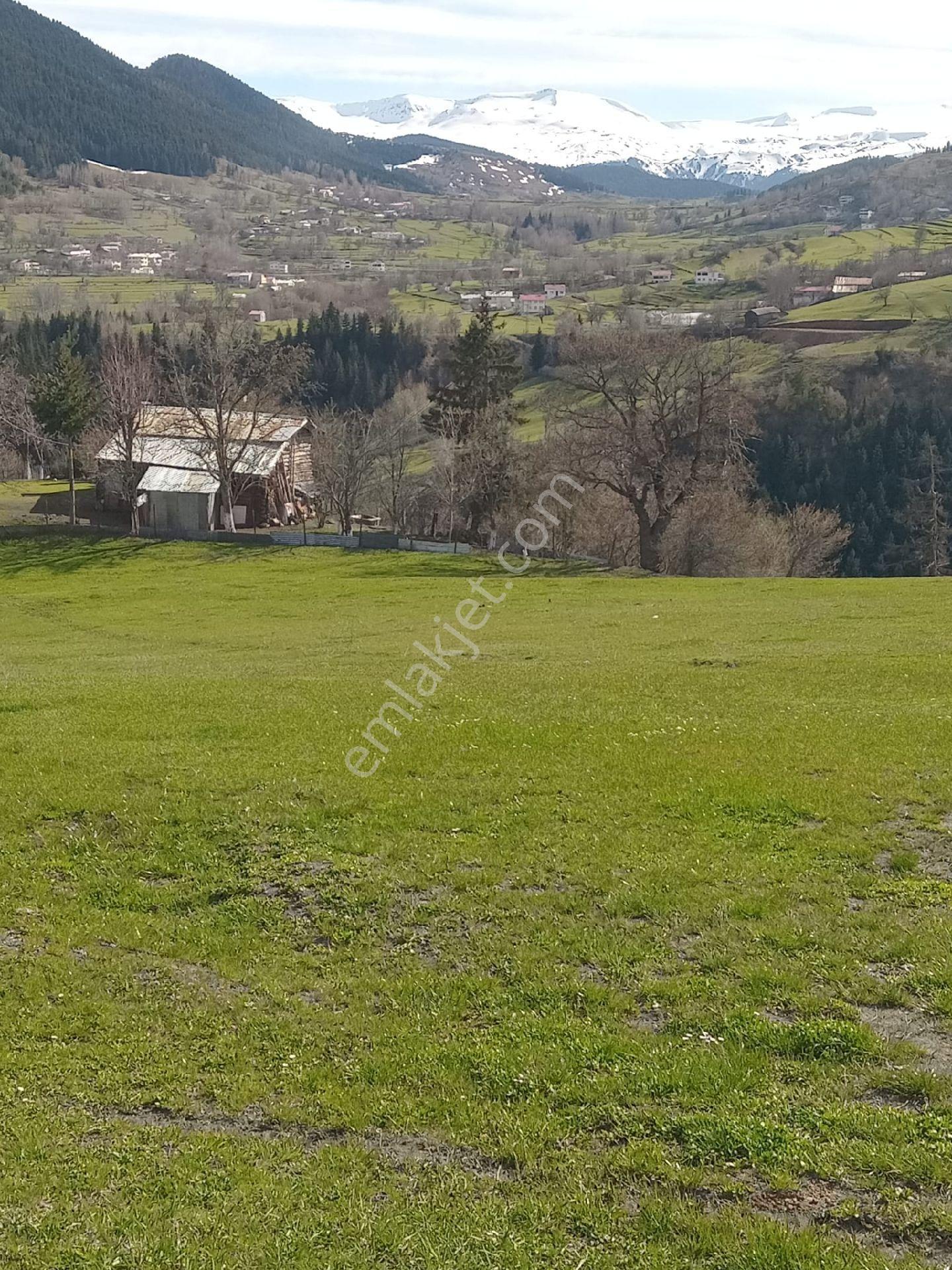Cennetten Bir Köşe Olan Artvin- Şavşat- Yavuzköy'de Sahibinden Satılık Gerçek İmarlı Arsa - Görsel 19