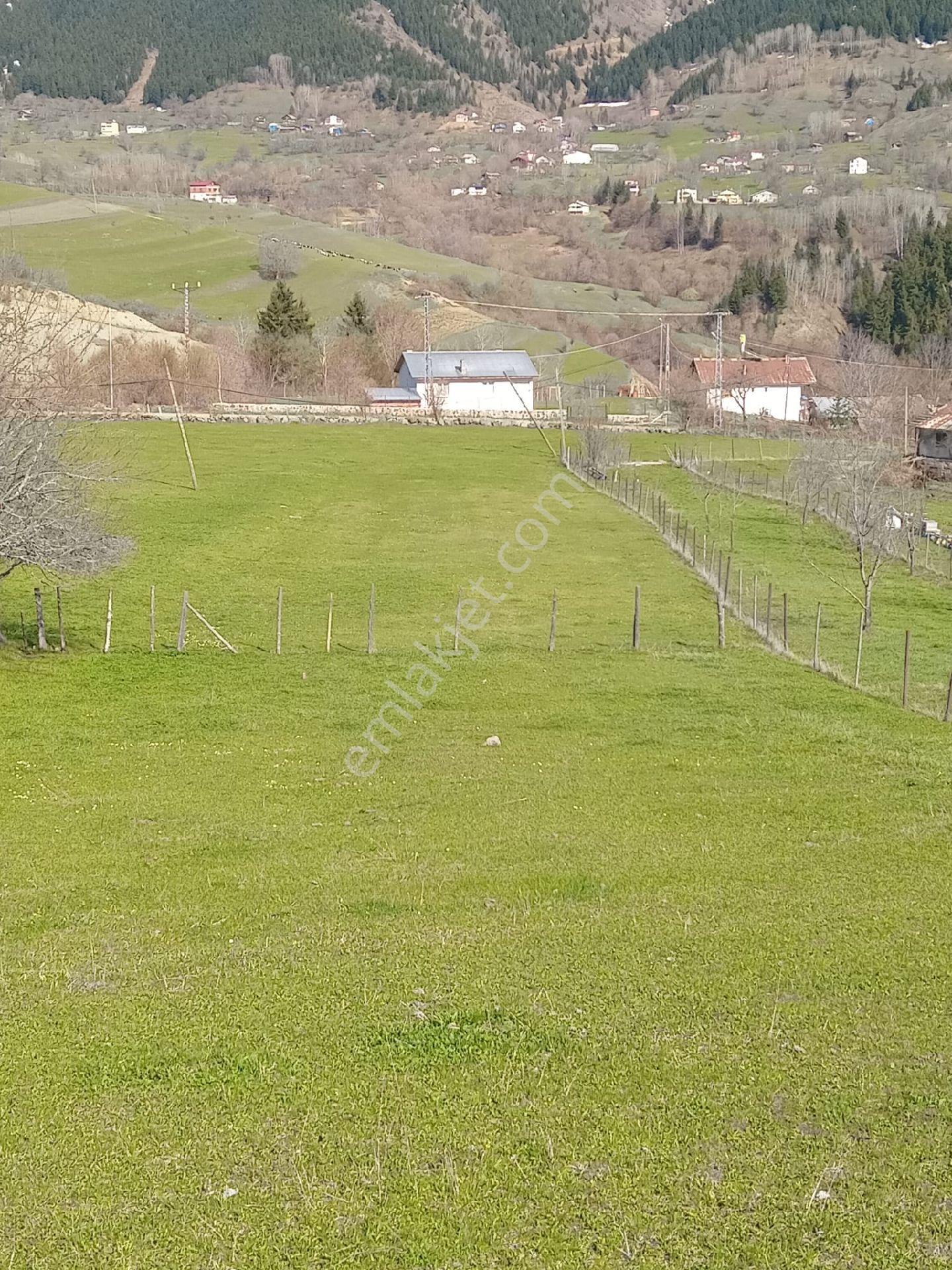 Cennetten Bir Köşe Olan Artvin- Şavşat- Yavuzköy'de Sahibinden Satılık Gerçek İmarlı Arsa - Görsel 10