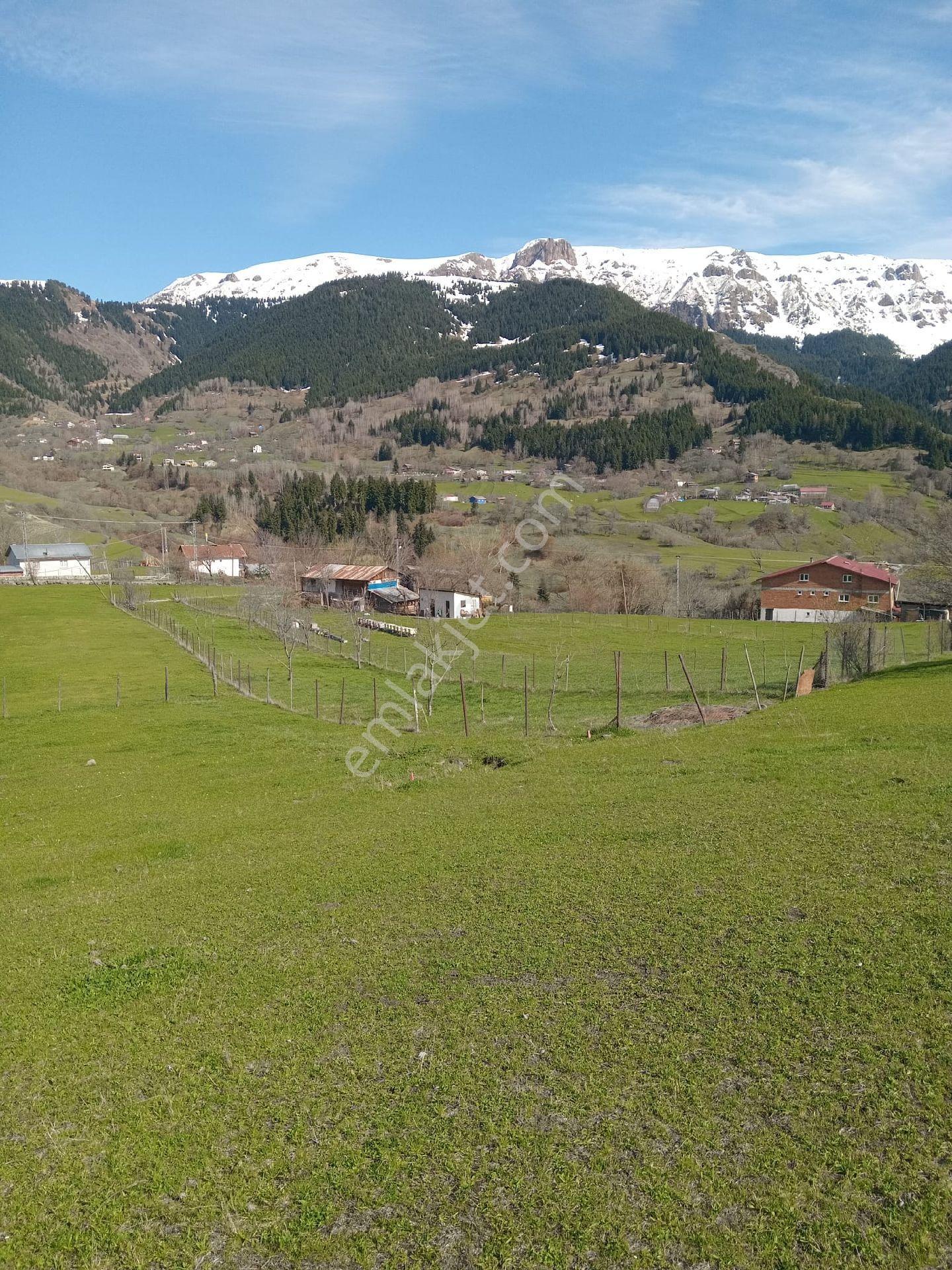 Cennetten Bir Köşe Olan Artvin- Şavşat- Yavuzköy'de Sahibinden Satılık Gerçek İmarlı Arsa - Görsel 8