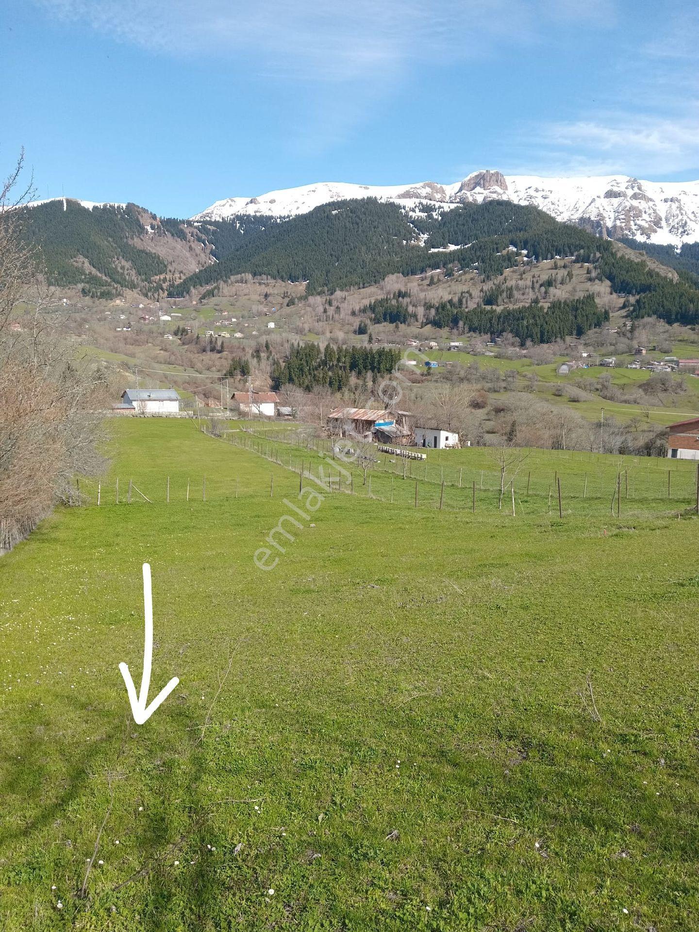 Cennetten Bir Köşe Olan Artvin- Şavşat- Yavuzköy'de Sahibinden Satılık Gerçek İmarlı Arsa - Görsel 13