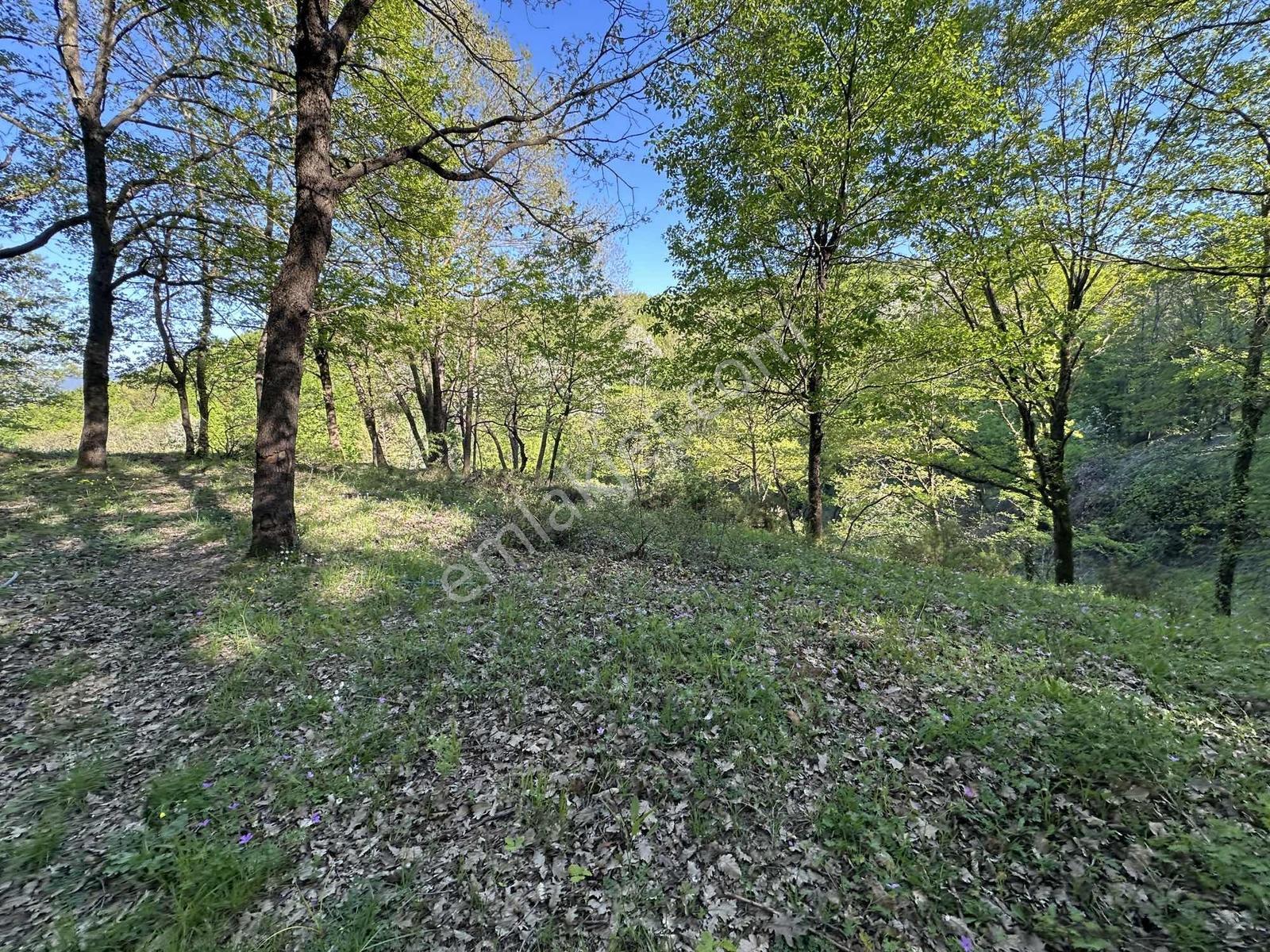 Turyap Soner'den Satılık, Güneyköy'de 1163 M² İmarlı Fırsat Arsa - Görsel 20