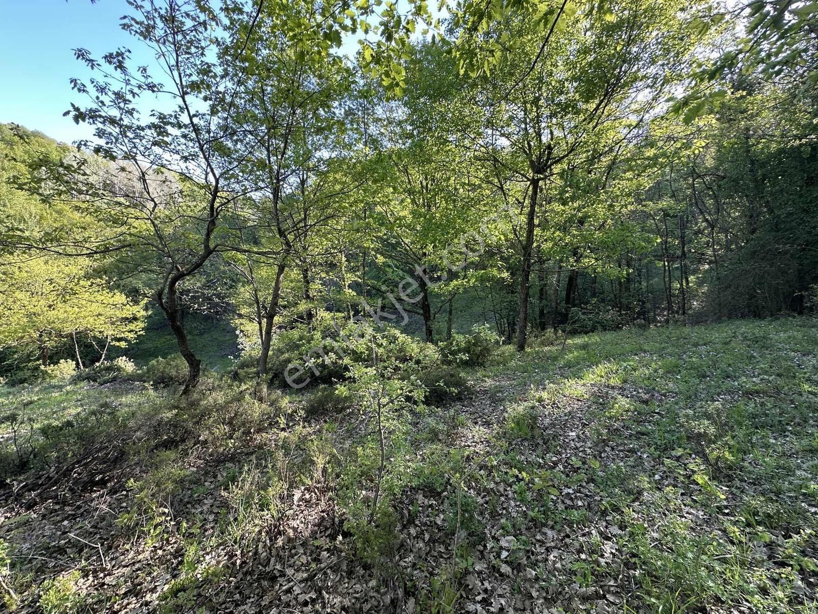 Turyap Soner'den Satılık, Güneyköy'de 1163 M² İmarlı Fırsat Arsa - Görsel 19