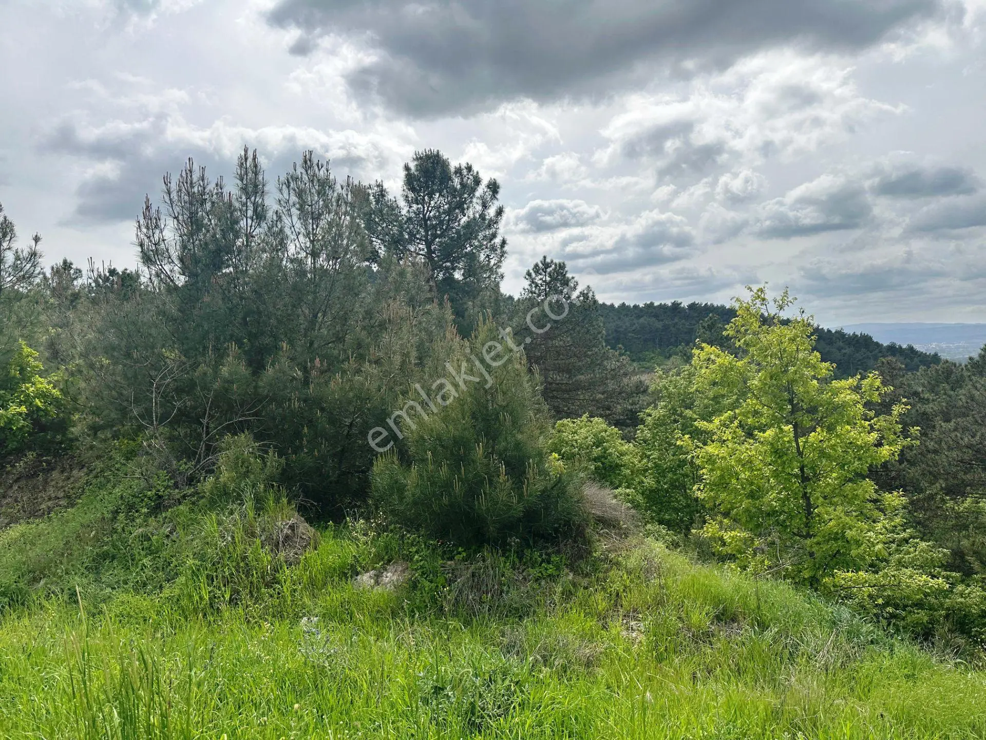 Çanakkale-balıkesir Yoluna Cephe 3.040m2 Yatırımlık Satılık Arsa - Görsel 4