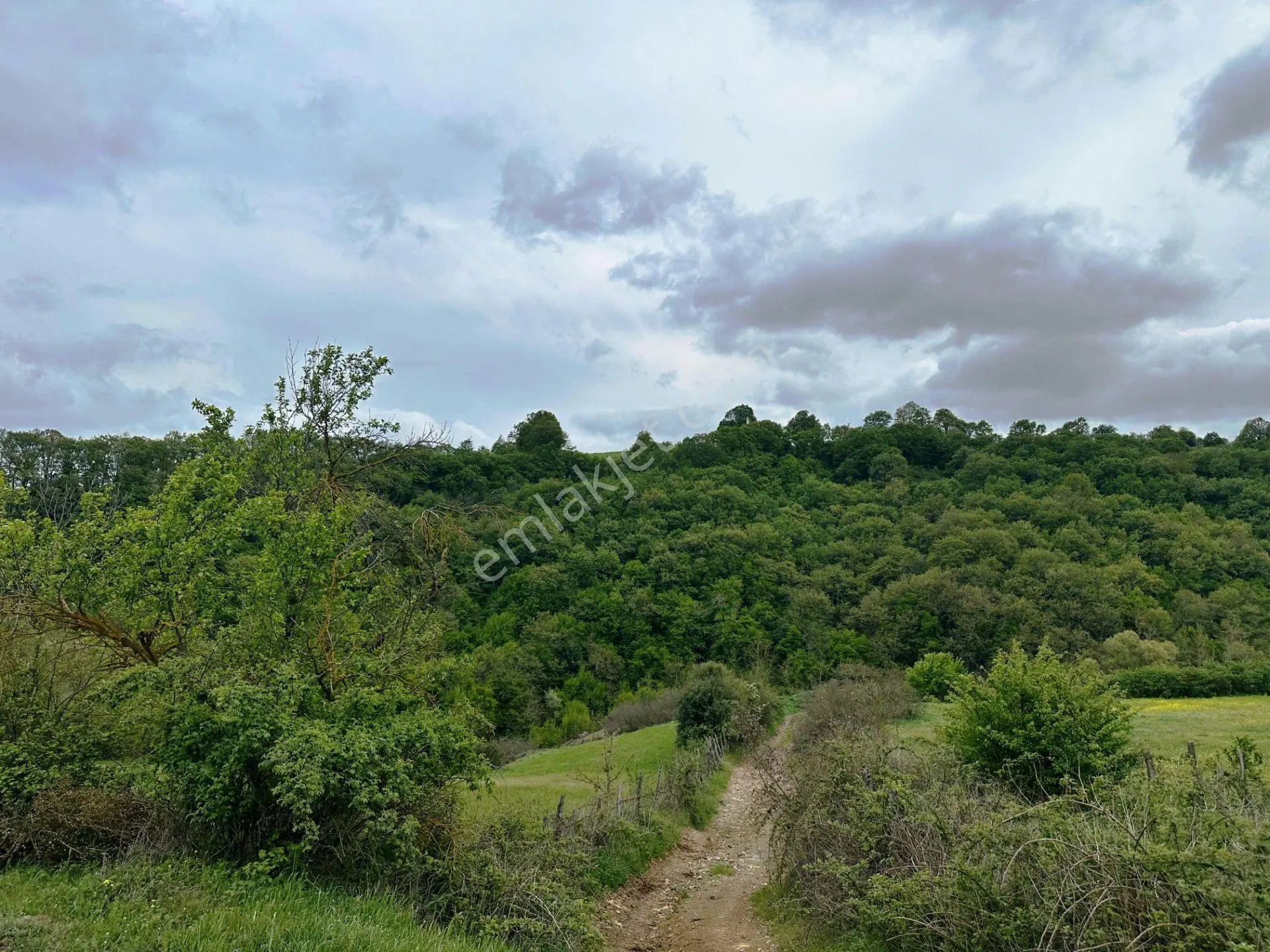 Çanakkale-gönen Yolu Çevresinde 5.991m2 Ekilebilir Satılık Arsa - Görsel 8