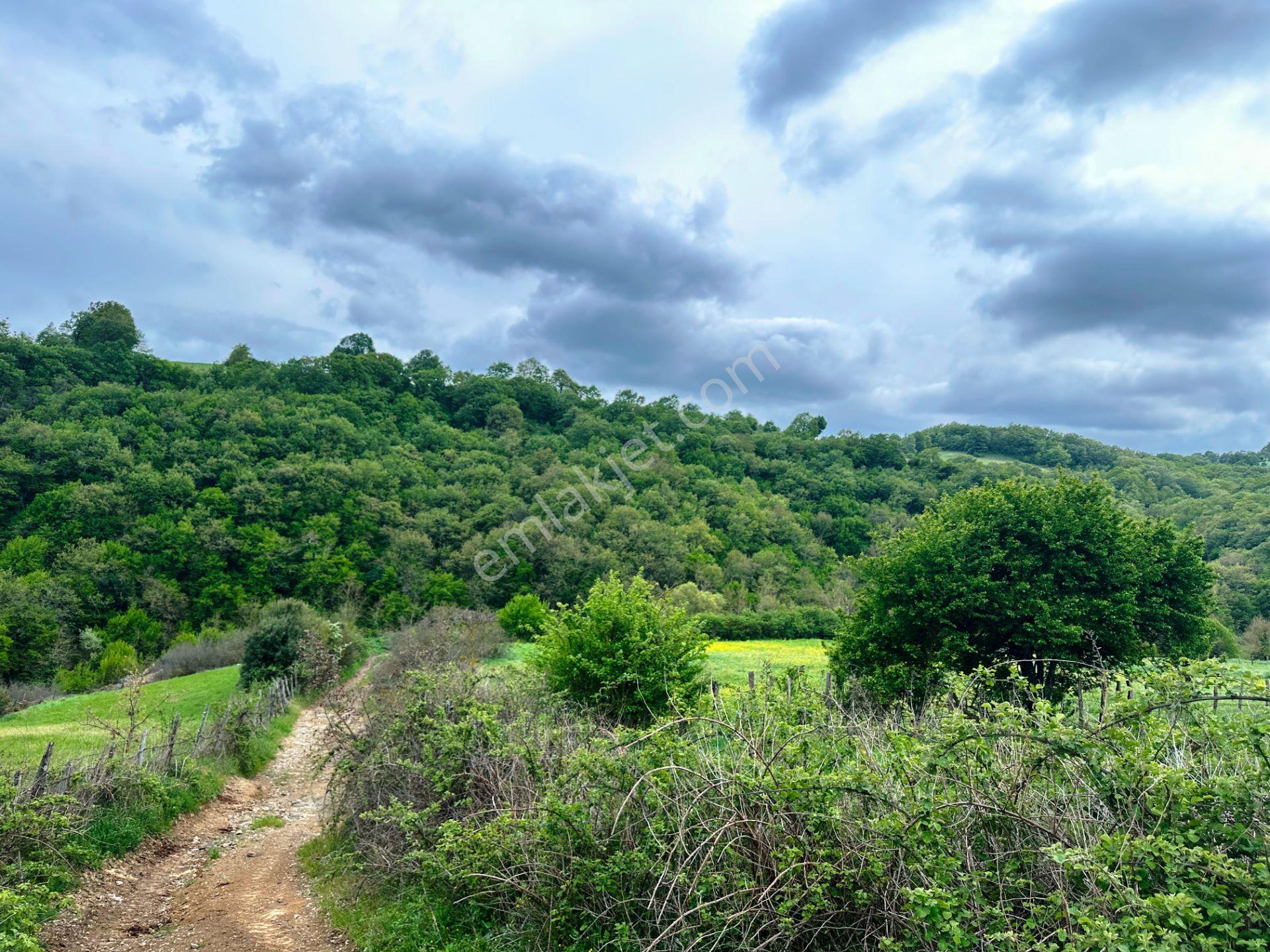 Bayramiç Kaz Dağlarında Yeni Otoban Yakını 5.900m2 Satılık Arsa - Görsel 25