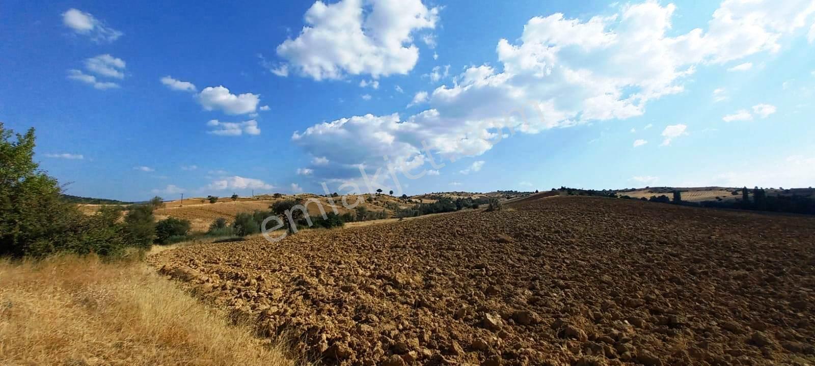 Gediz Yukarısusuz Köyü 5.190m2 Yeni Otoban Yakını Satılık Arsa - Görsel 8