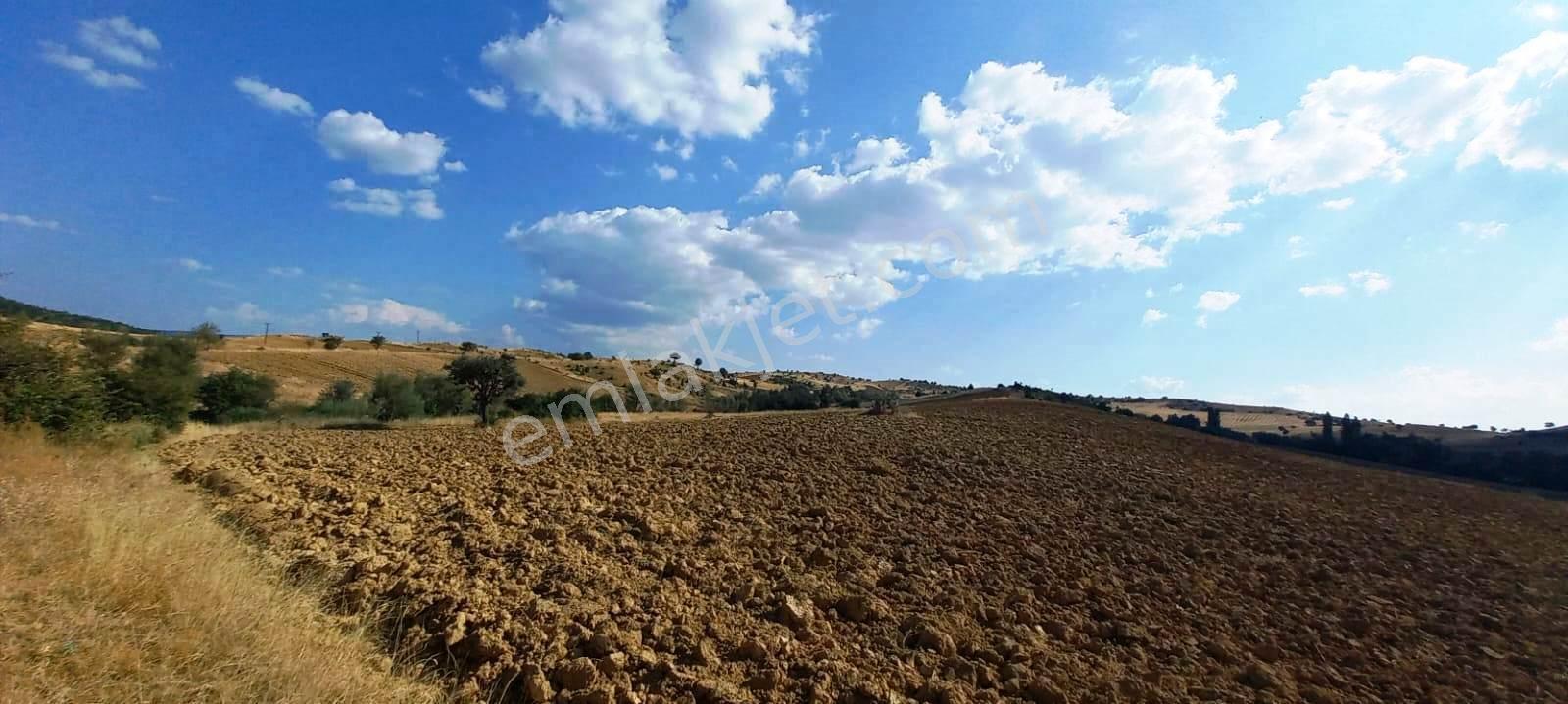 Gediz Yukarısusuz Köyü 5.190m2 Yeni Otoban Yakını Satılık Arsa - Görsel 13