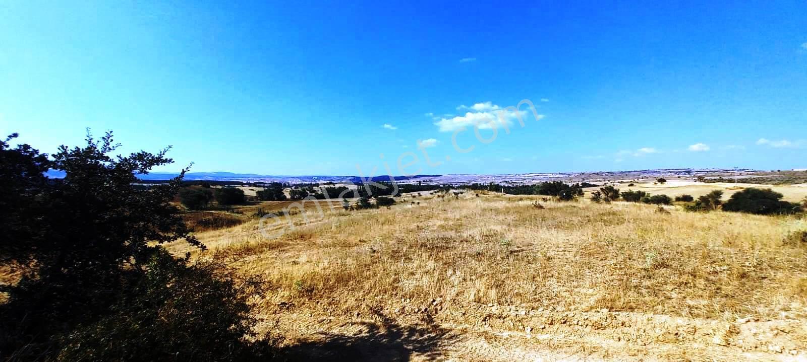 Gediz Yukarısusuz Köyü 5.190m2 Yeni Otoban Yakını Satılık Arsa - Görsel 17