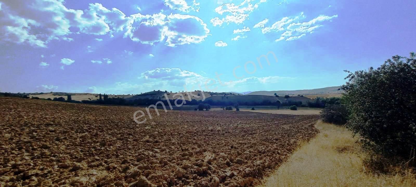 Gediz Yukarısusuz Köyü 5.190m2 Yeni Otoban Yakını Satılık Arsa - Görsel 11