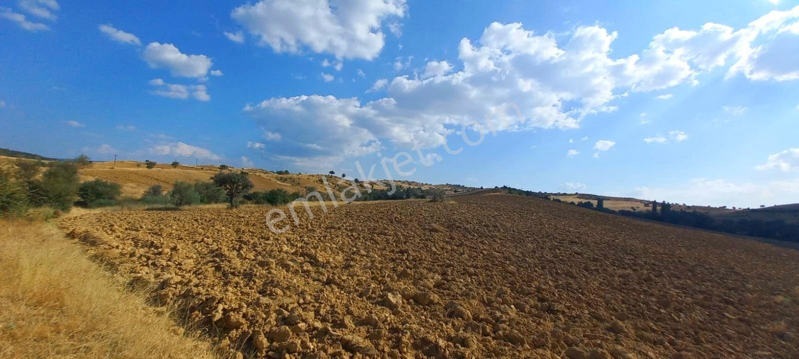 Uşak-kütahya Karayoluna 2 Km.7897m2 Müstakil Parsel Satılık Arsa - Görsel 6