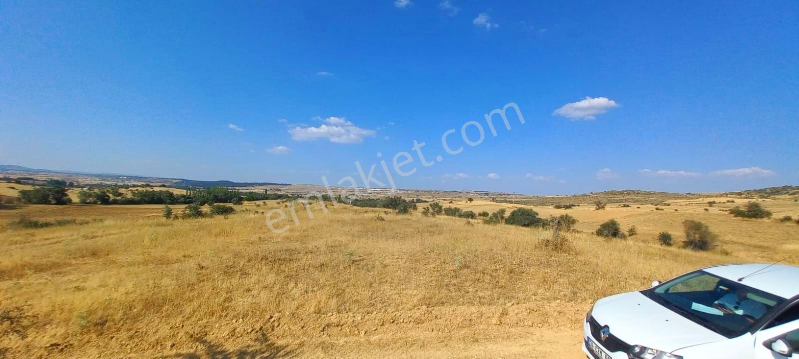 Uşak-kütahya Karayoluna 2 Km.7897m2 Müstakil Parsel Satılık Arsa - Görsel 4