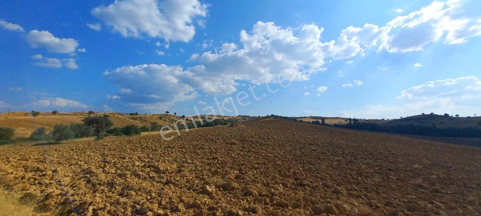 Uşak-kütahya Karayoluna 2 Km.7897m2 Müstakil Parsel Satılık Arsa - Görsel 9