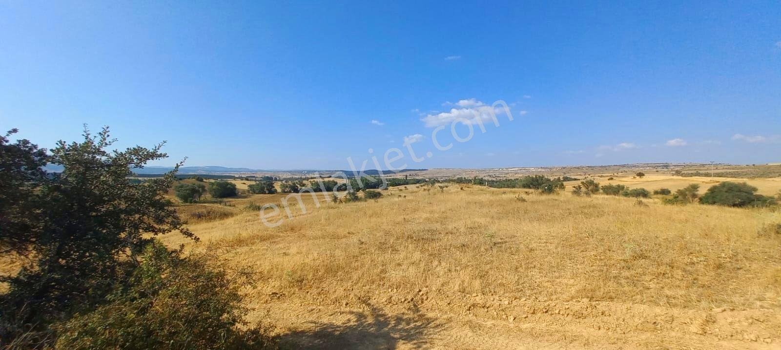 Uşak-kütahya Karayoluna 2 Km.7897m2 Müstakil Parsel Satılık Arsa - Görsel 13