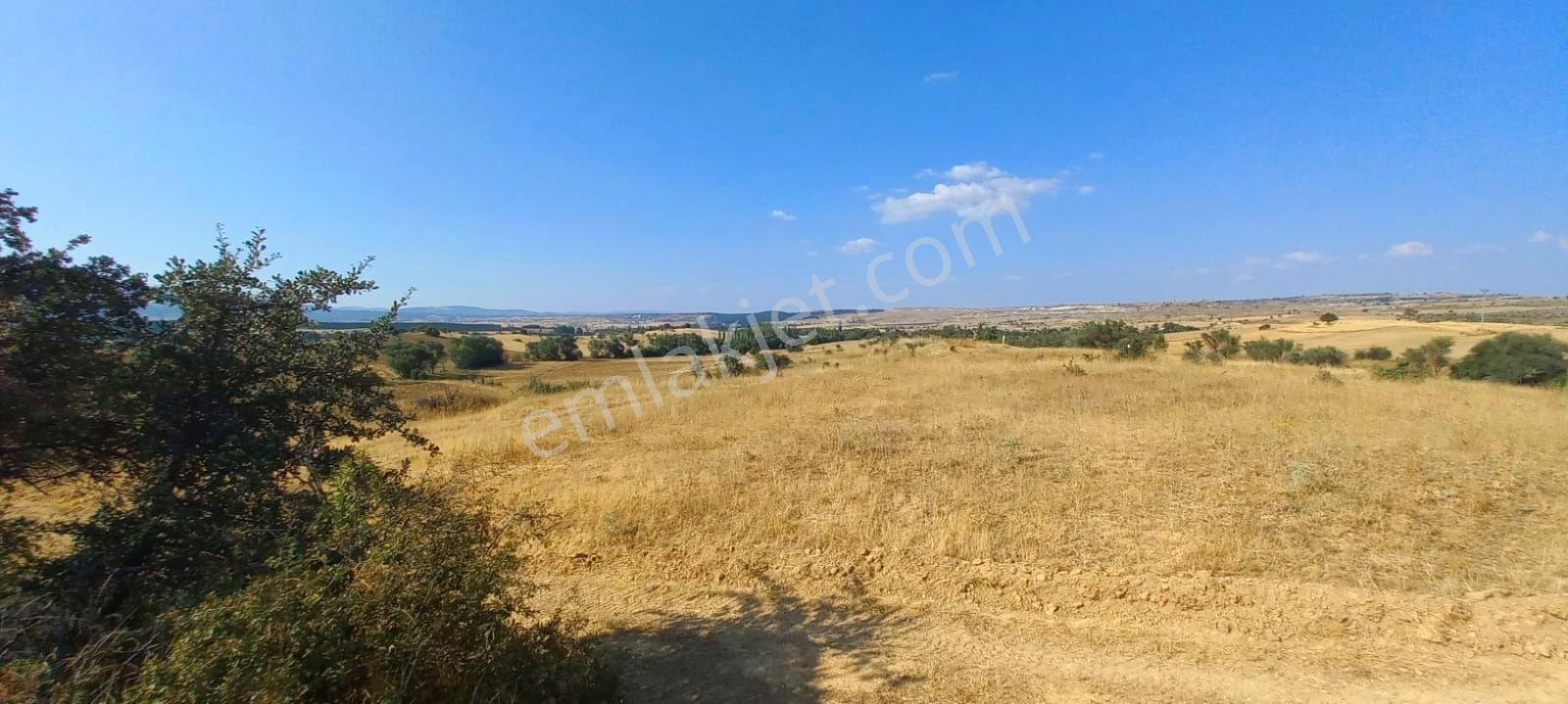 Uşak-kütahya Karayoluna 2 Km.7897m2 Müstakil Parsel Satılık Arsa