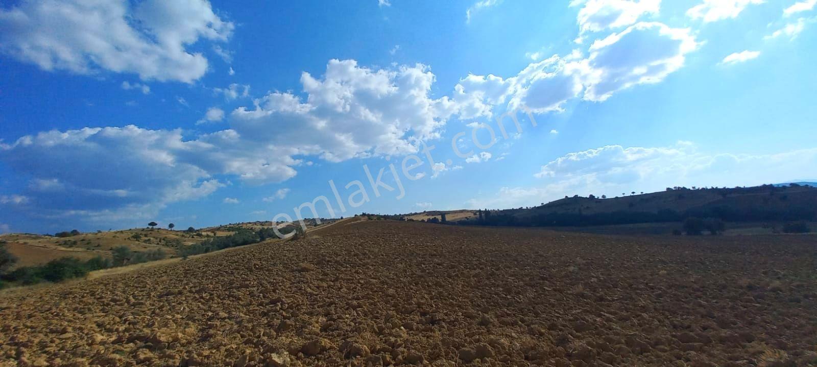 Uşak-kütahya Karayoluna 2 Km.7897m2 Müstakil Parsel Satılık Arsa - Görsel 25