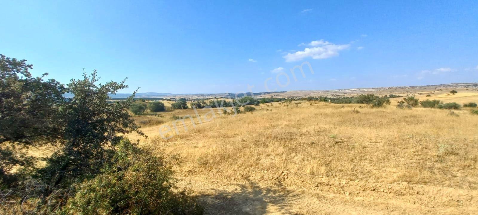 Uşak-kütahya Karayoluna 2 Km.7897m2 Müstakil Parsel Satılık Arsa - Görsel 15