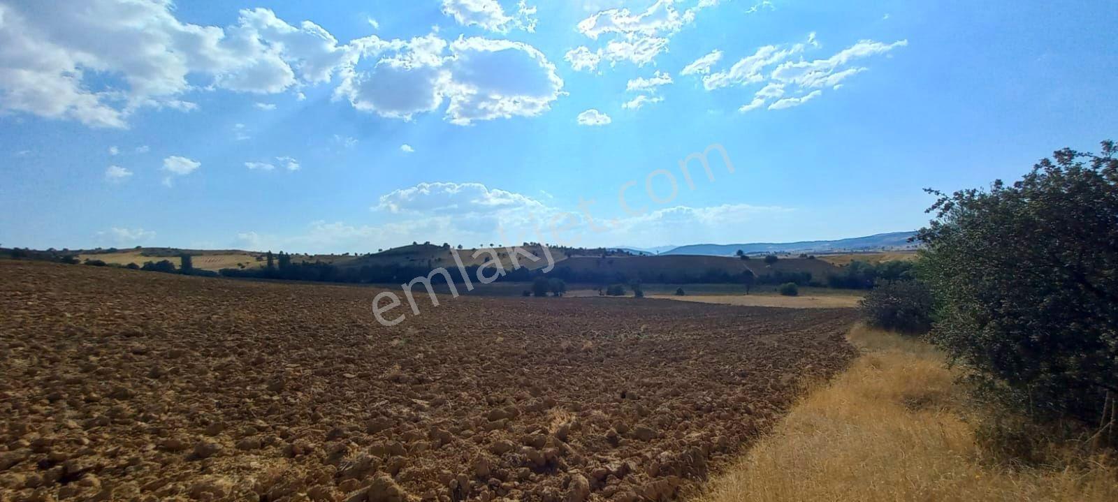 Uşak-kütahya Karayoluna 2 Km.7897m2 Müstakil Parsel Satılık Arsa - Görsel 32