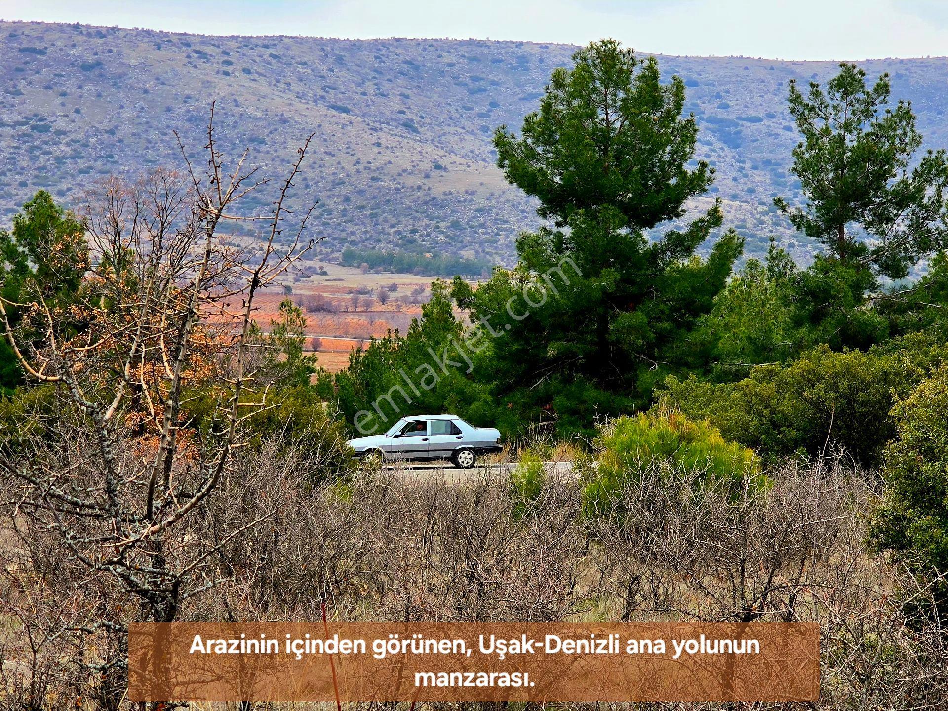 Denizli Bekilli Merkezde 1.161 M² Otoyol Yanı, İlçe Toki Mahalle Manzaralı. Açıklamayı Okuyunuz - Görsel 22