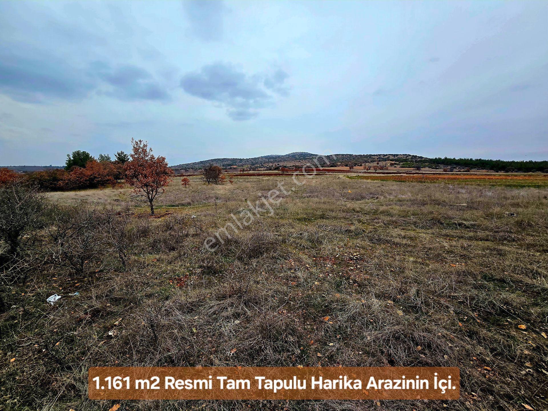 Denizli Bekilli Merkezde 1.161 M² Otoyol Yanı, İlçe Toki Mahalle Manzaralı. Açıklamayı Okuyunuz - Görsel 19