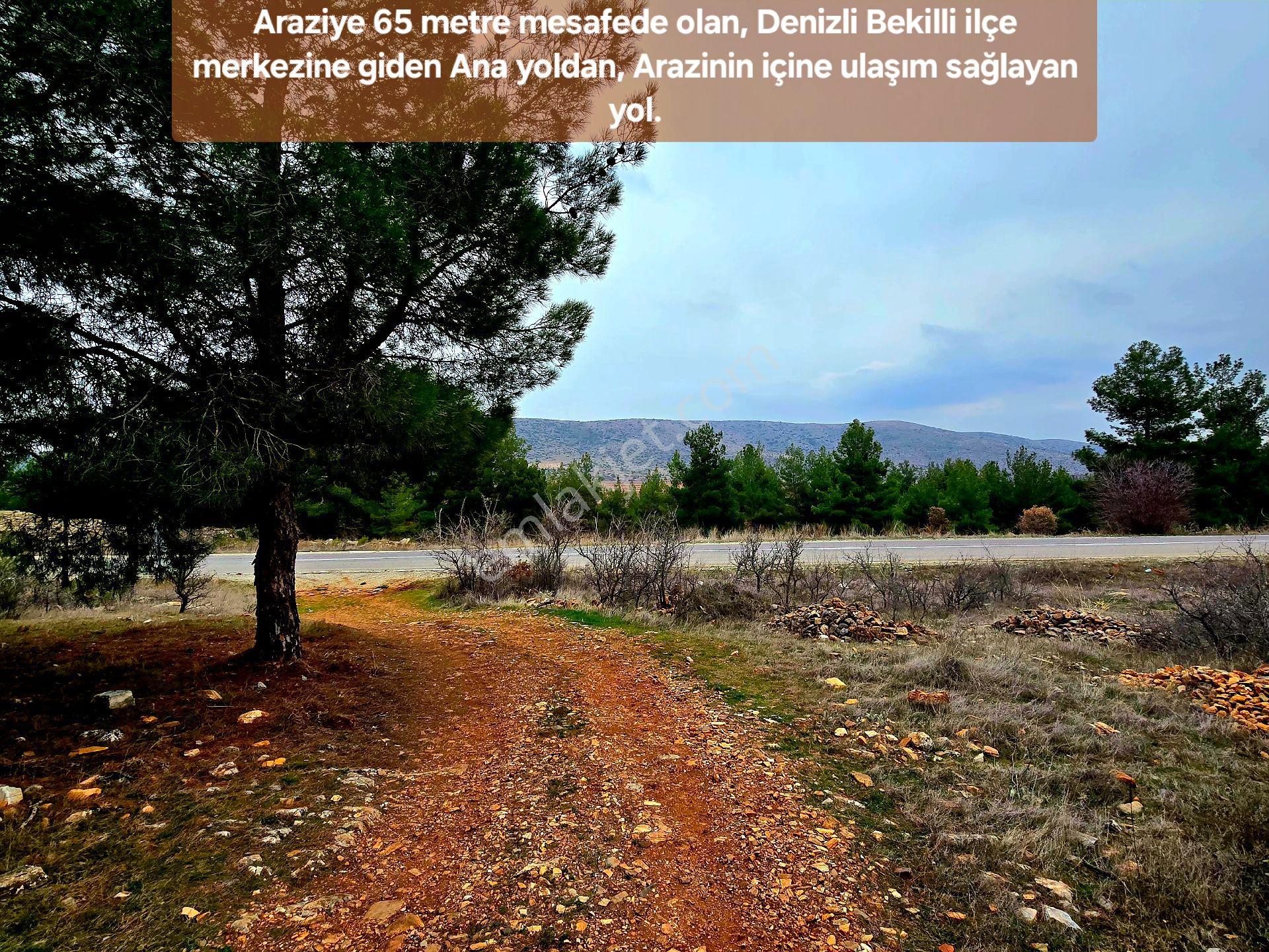 Denizli Bekilli Merkezde 1.161 M² Otoyol Yanı, İlçe Toki Mahalle Manzaralı. Açıklamayı Okuyunuz - Görsel 26