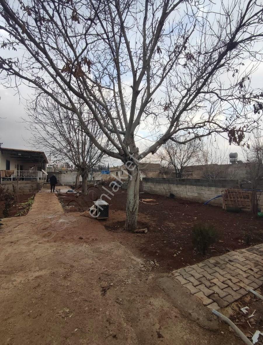 Satılık Bağ Evi - Görsel 5