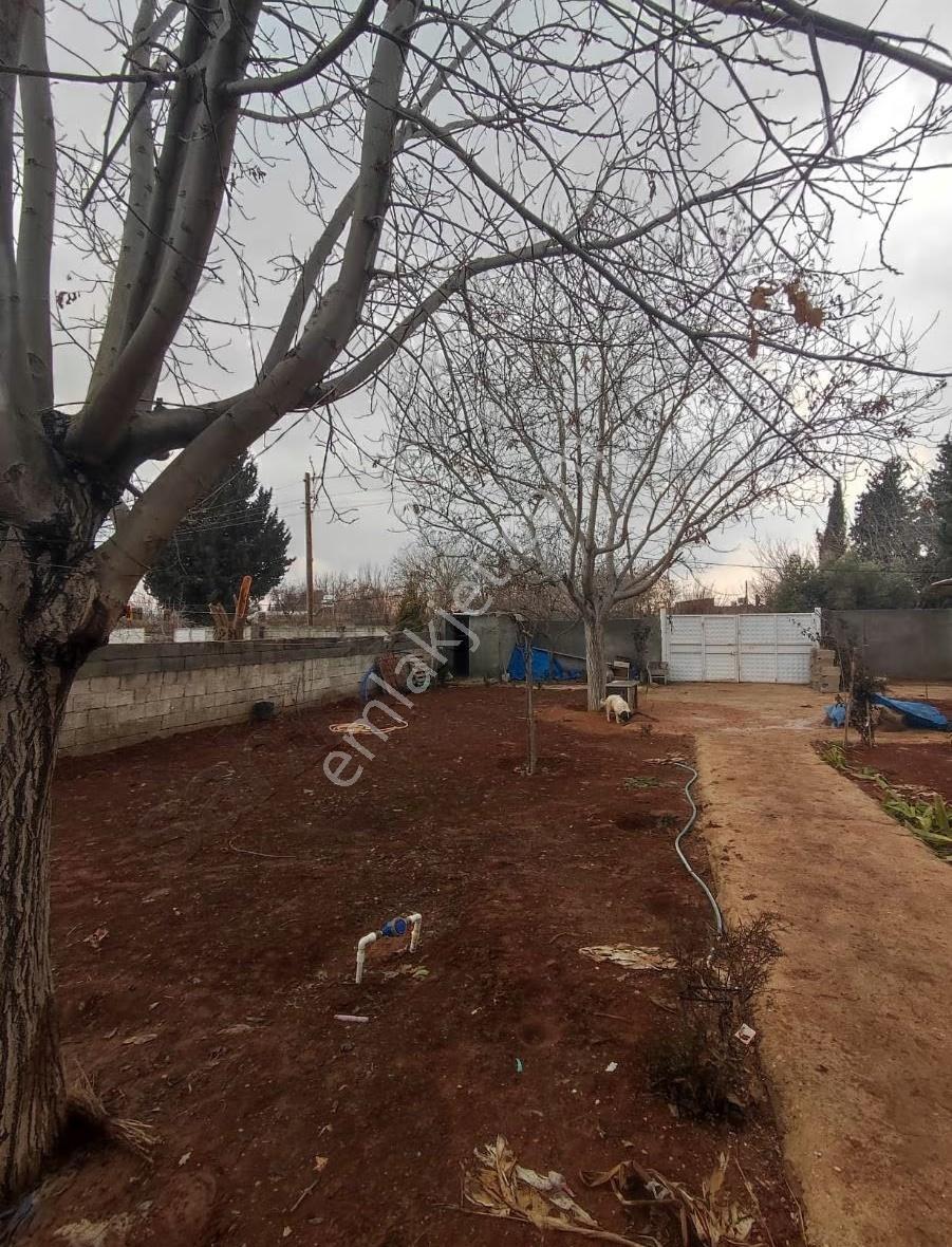 Satılık Bağ Evi - Görsel 8