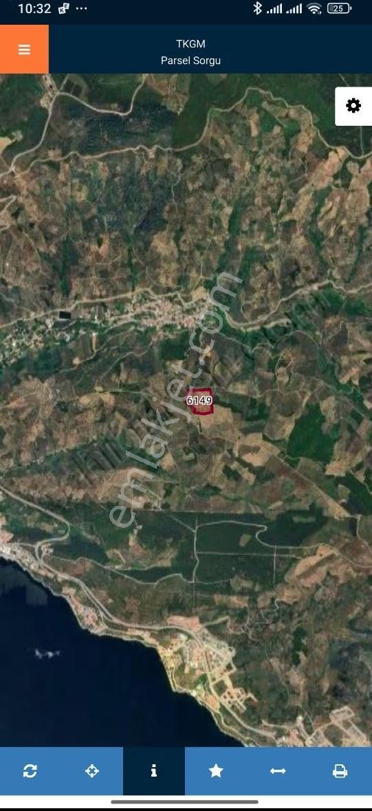 Antant Emlaktan Deniz Görür Zeytinlik - Görsel 5