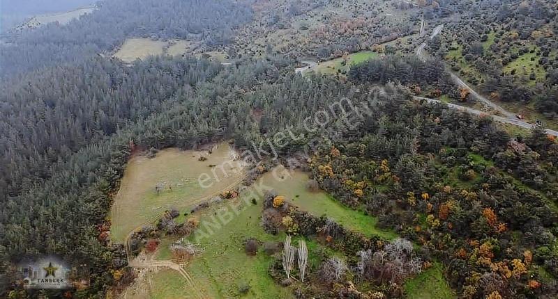 ^^tanberk Den Satılık Tarla Çanköy De 4.315 M2^^ - Görsel 2