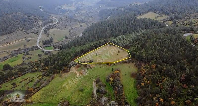 ^^tanberk Den Satılık Tarla Çanköy De 4.315 M2^^ - Görsel 8