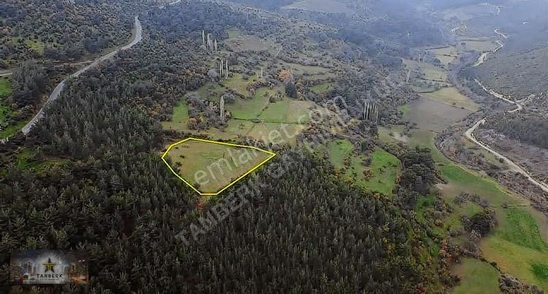 ^^tanberk Den Satılık Tarla Çanköy De 4.315 M2^^ - Görsel 4