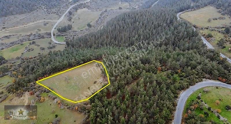 ^^tanberk Den Satılık Tarla Çanköy De 4.315 M2^^ - Görsel 7
