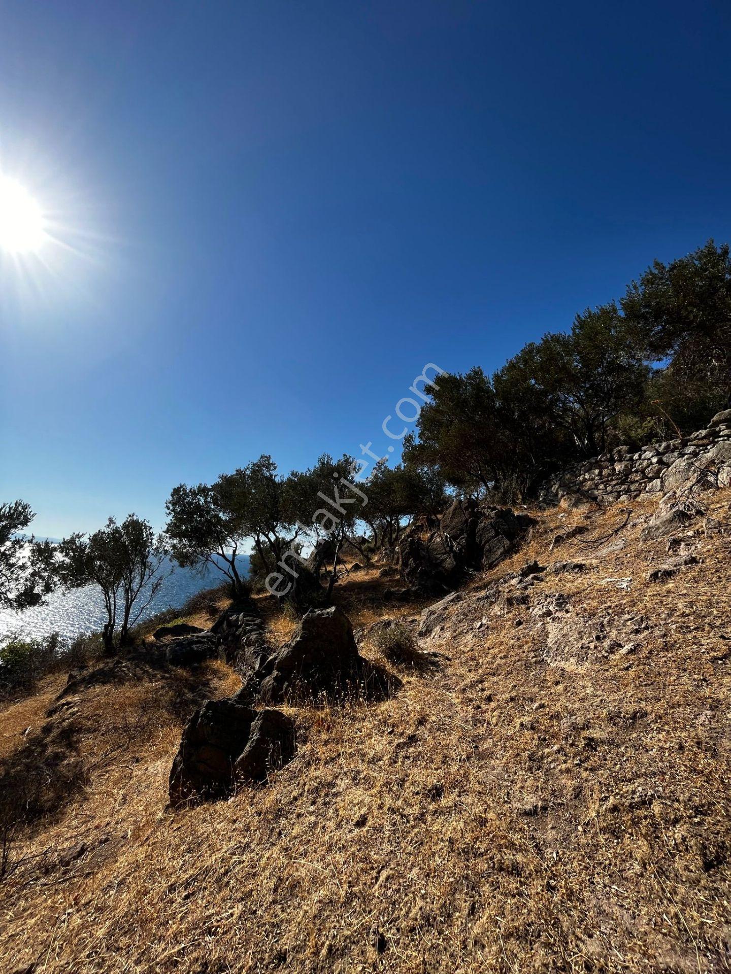 Çanakkale Ayvacık Behramkale'de Deniz Kenarı 3929m² Arazi - Görsel 15