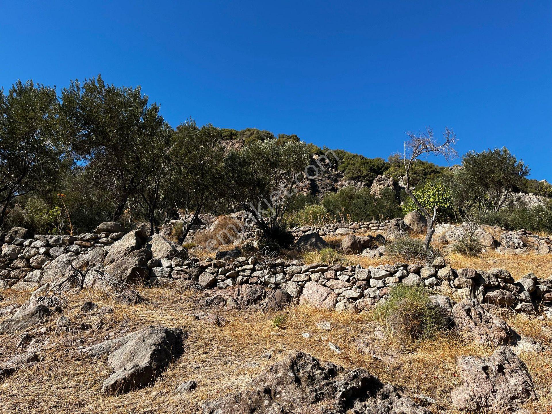 Çanakkale Ayvacık Behramkale'de Deniz Kenarı 3929m² Arazi - Görsel 11