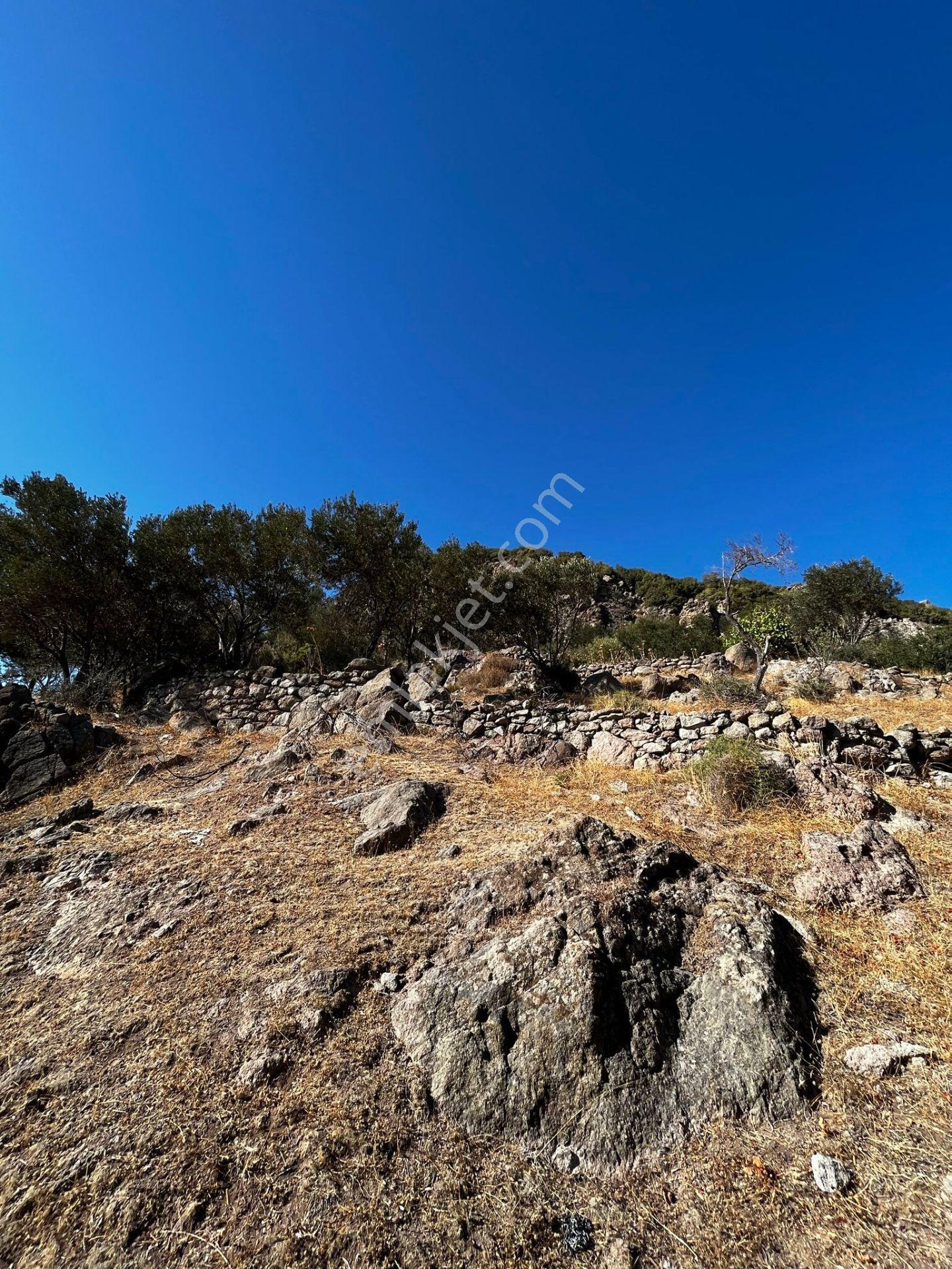 Çanakkale Ayvacık Behramkale'de Deniz Kenarı 3929m² Arazi - Görsel 9