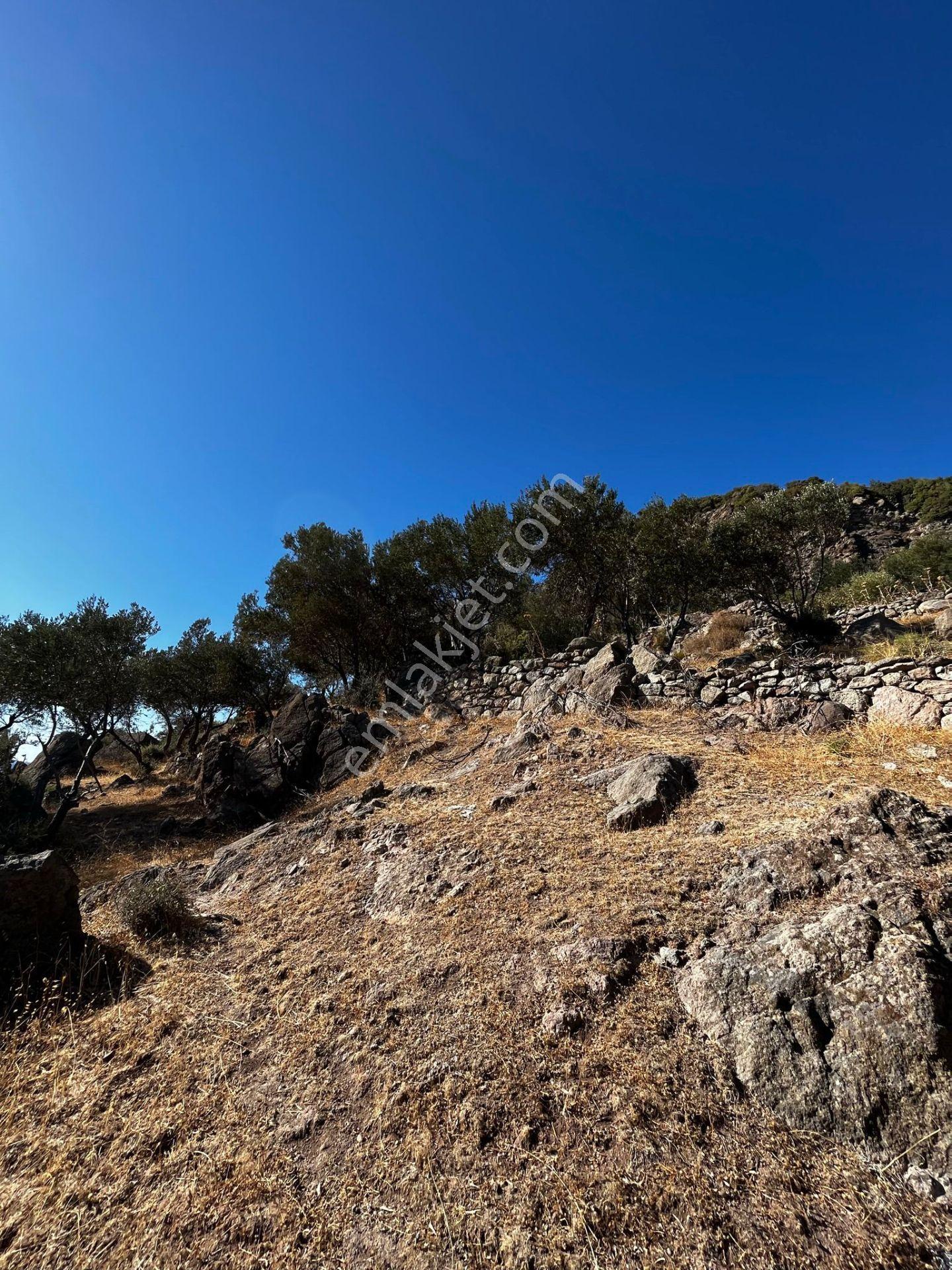 Çanakkale Ayvacık Behramkale'de Deniz Kenarı 3929m² Arazi - Görsel 10
