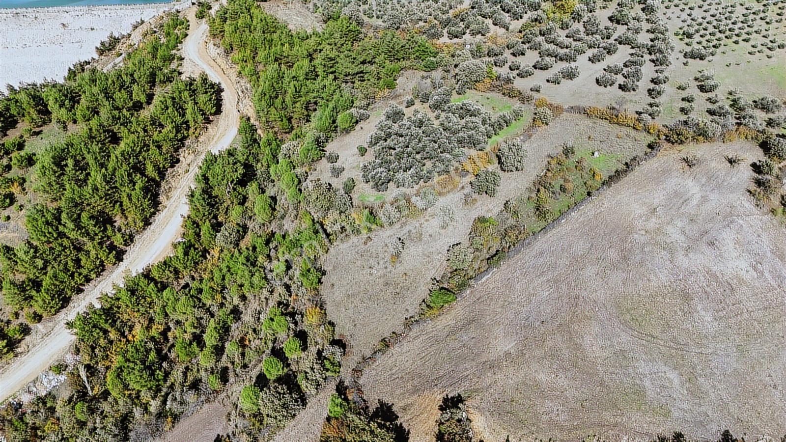 Karalar Köyünde 2 Parsel Yanyana Tarlamız Satışta - Görsel 10