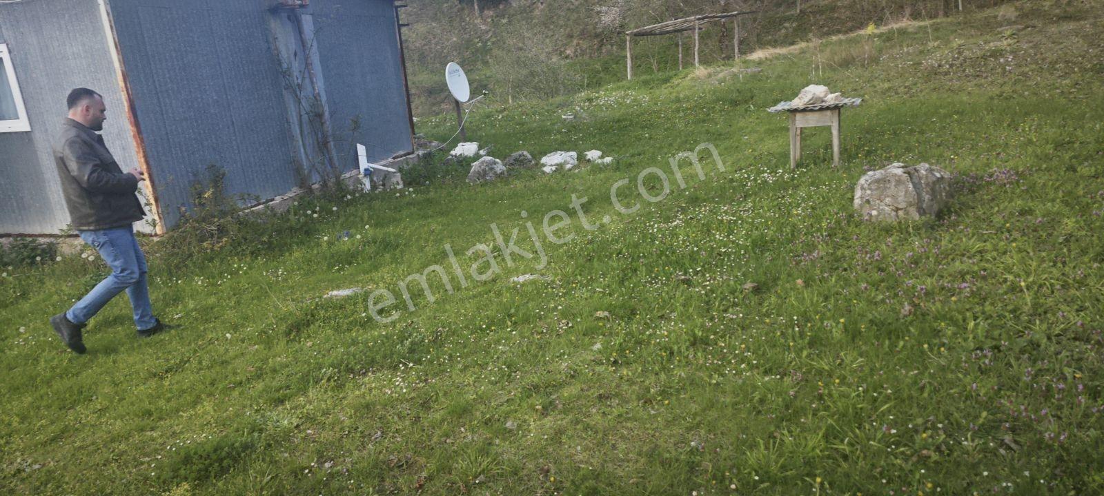 Havası Suyu Güzel Satılık Köy Evi - Görsel 23
