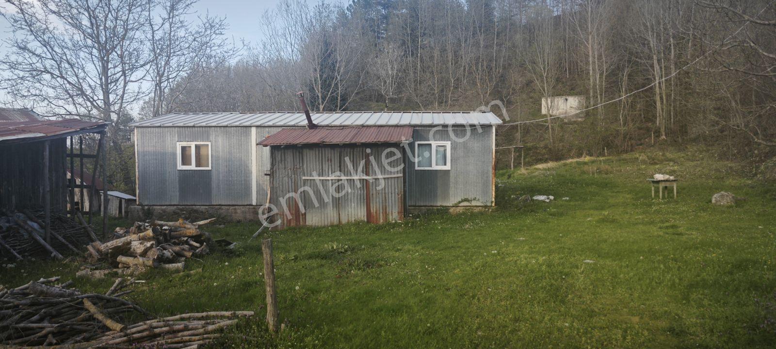 Havası Suyu Güzel Satılık Köy Evi - Görsel 14