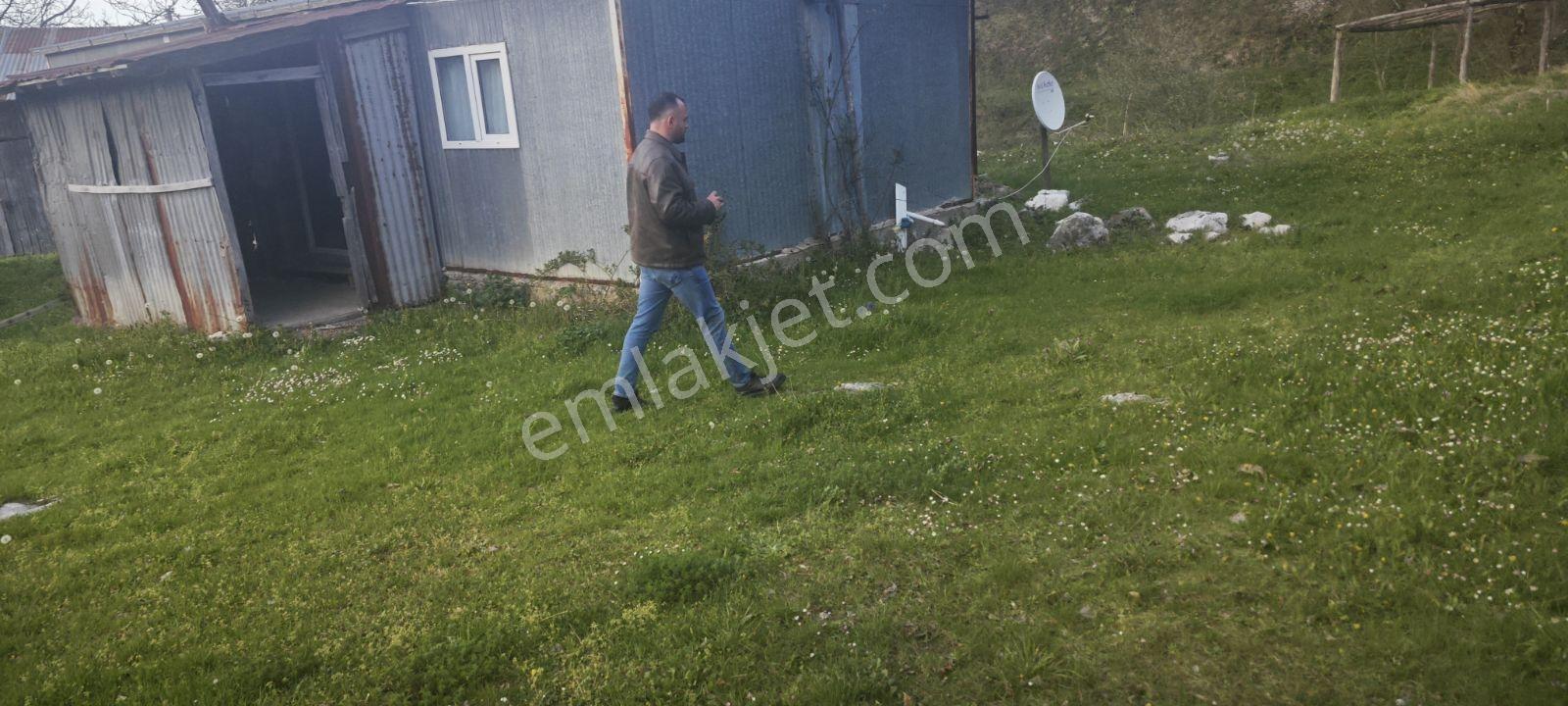 Havası Suyu Güzel Satılık Köy Evi - Görsel 20