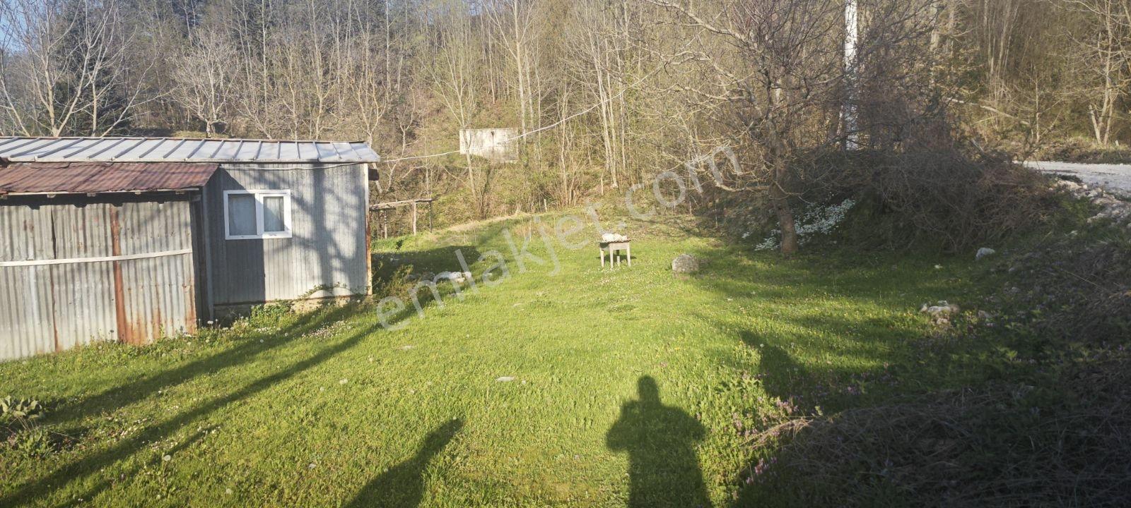 Havası Suyu Güzel Satılık Köy Evi - Görsel 26