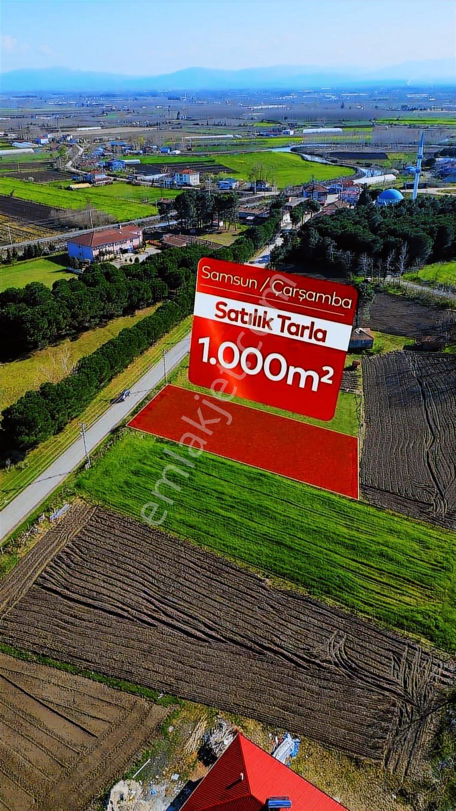 İlyas Nas'tan Denize 900 Metre 1000 M2 Satılık Tarla - Görsel 4