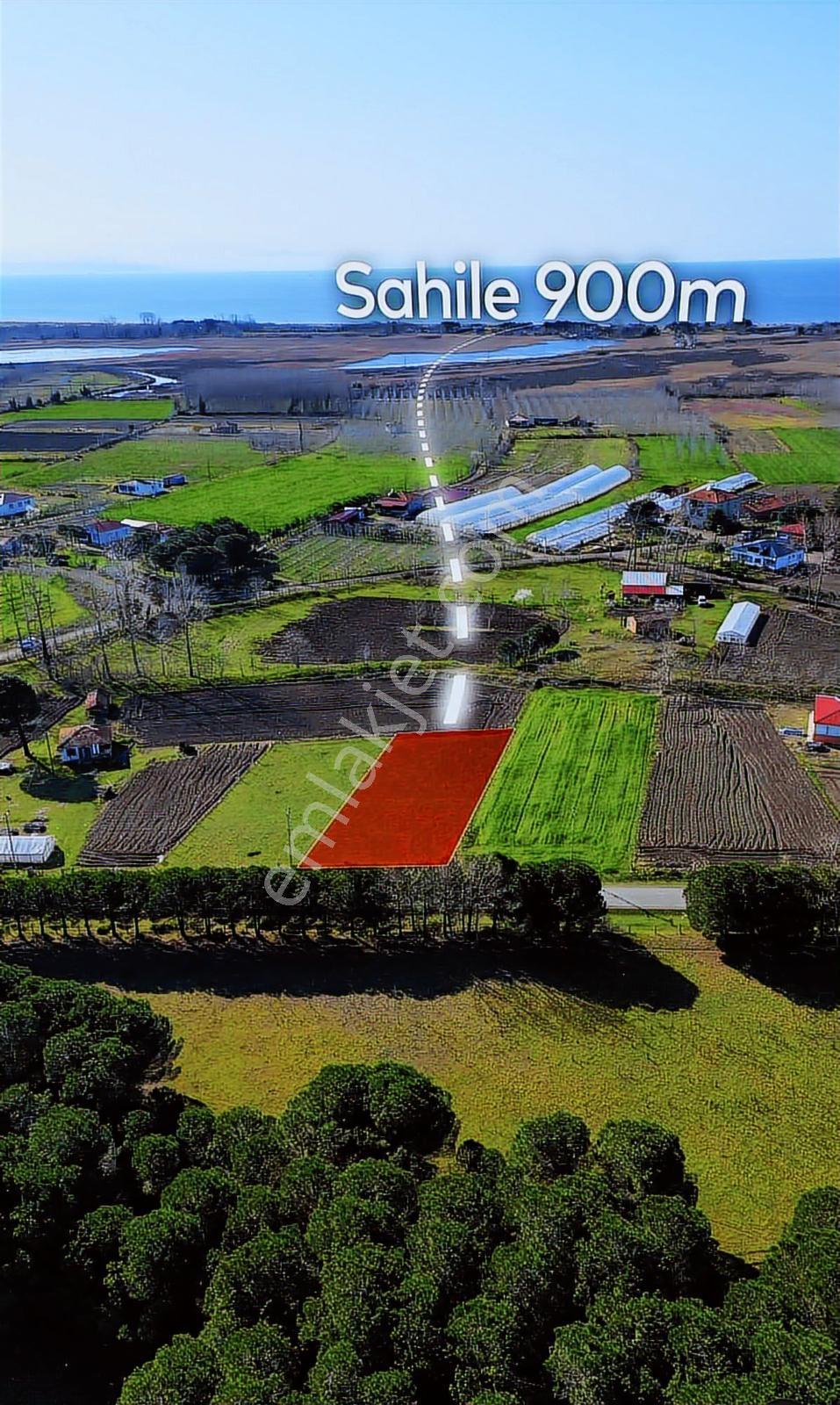 İlyas Nas'tan Denize 900 Metre 1000 M2 Satılık Tarla - Görsel 2