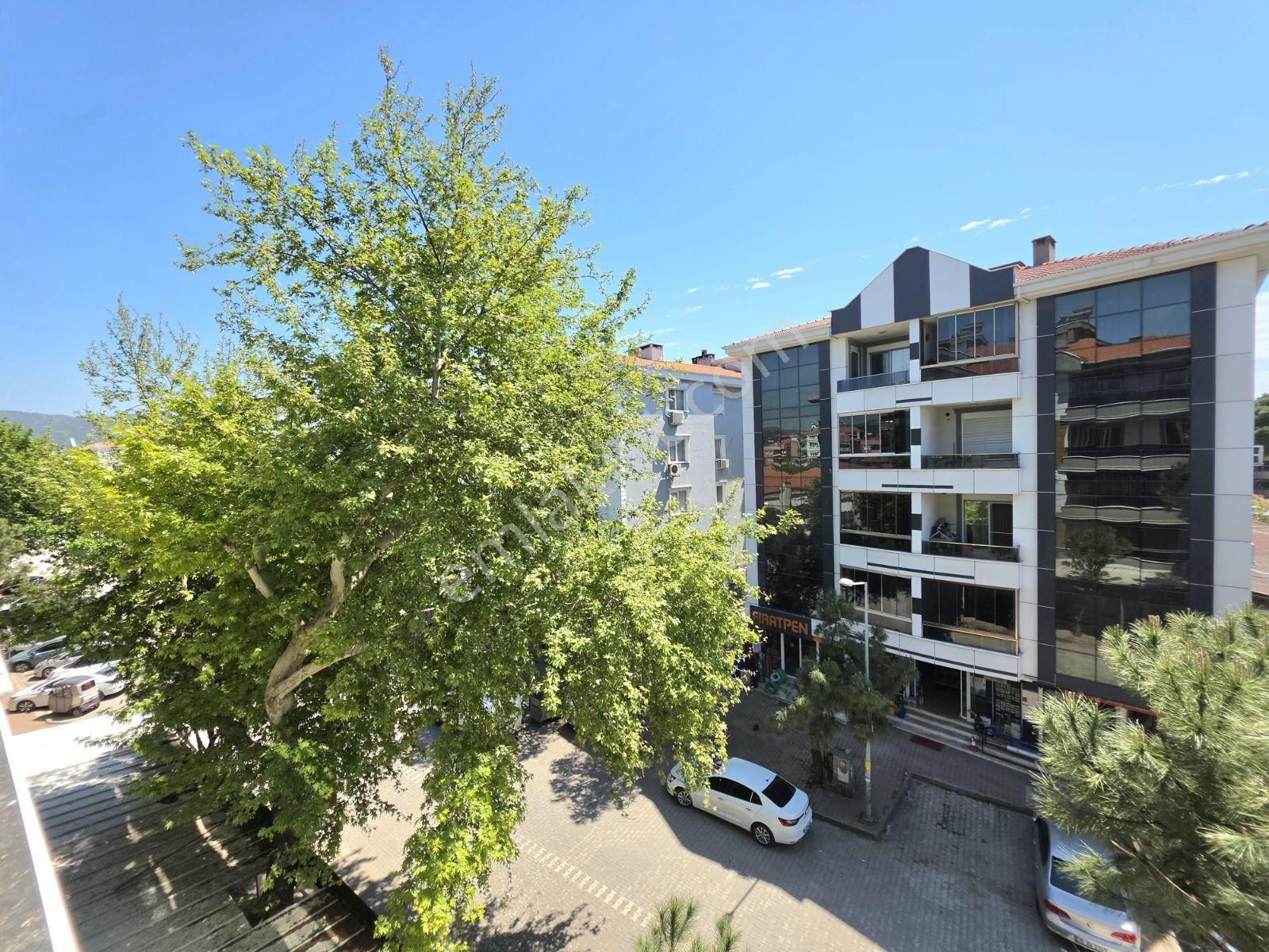 Altınova Merkezde Ana Cadde Üstü 3+1 140 M2 Fırsat Daire - Görsel 16